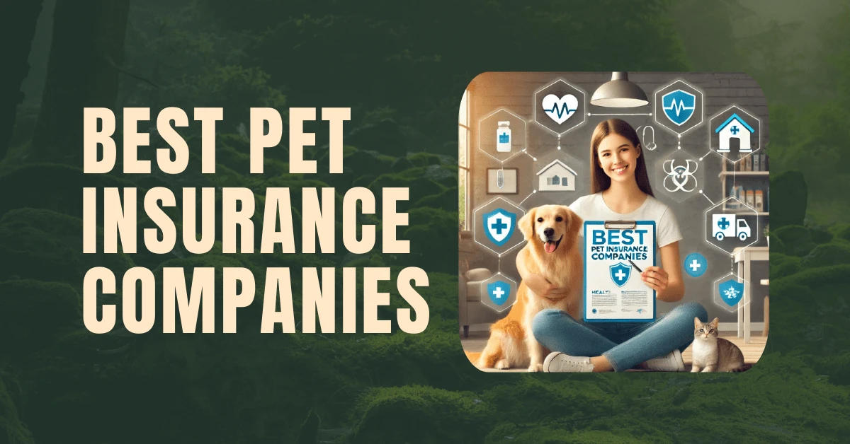 Best pet insurance companies