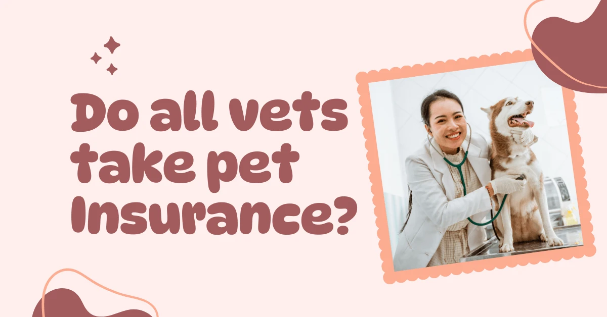 Do All Vets Take Pet Insurance