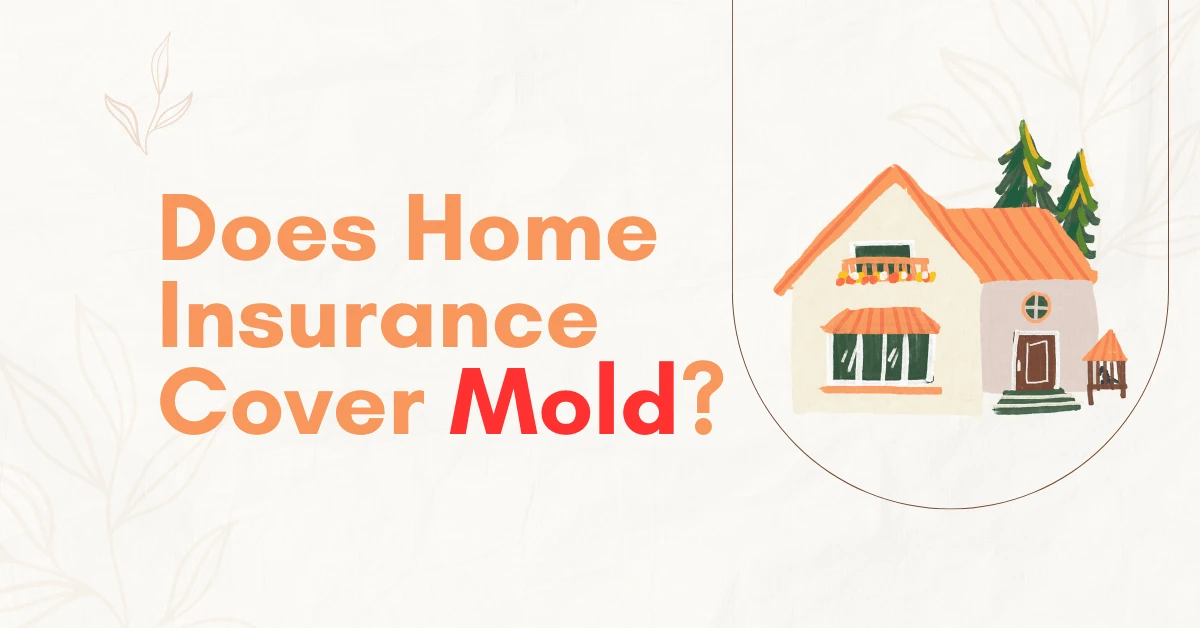 does home insurance cover mold