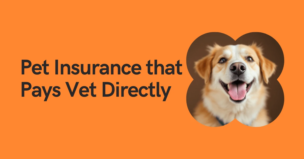 pet insurance that pays vet directly